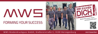 MWS Forming Your Success